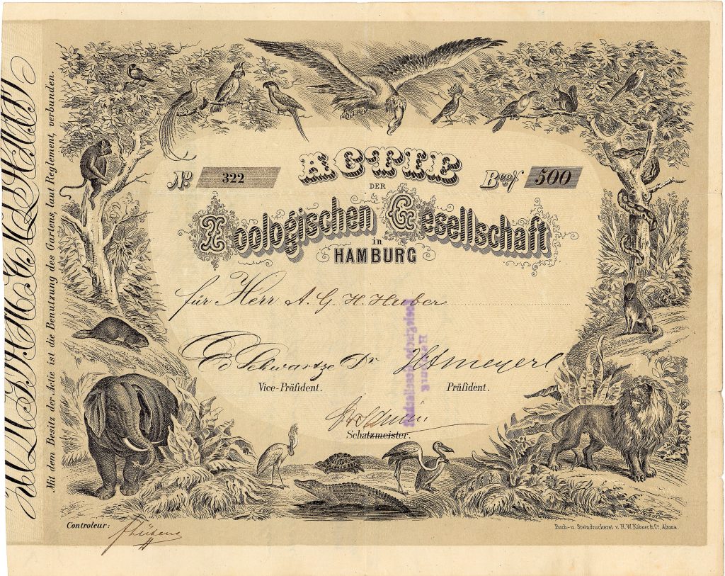 Zoologische Gesellschaft in Hamburg, Aktie 500 Banco Shilling, Hamburg, August 1864 